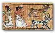 This is a picture of Ancient Egyptian farmers