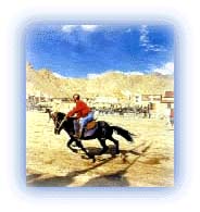 Polo being played in Leh. Credit: Discover India