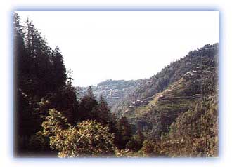 Green hills in the middle altitudes. Credit : Debangsu Sengupta