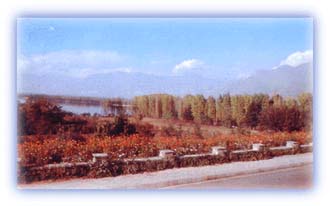 Summer in Kashmir - a play of colors. Credit: KOA