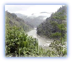Rainforests of Sikkim