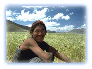 Khamp -- the Tibetan Pheasant. Credit: Matjaz Vrecko