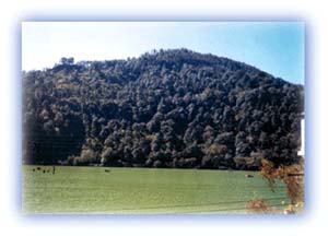 Nainital - popular tourist attraction in summers. Credit: Yogesh Wadadekar