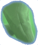 Mammary and Genital Slits