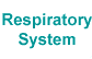 Respiratory System