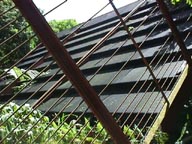 A Special Greenhouse with a Black Roof