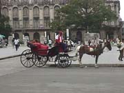 horsecarriage