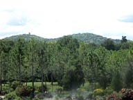 Landscape of the Garden