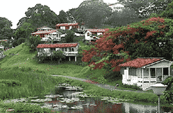 Cuban Families' Houses at Las Terrazas