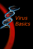 Virus Ba
   
   sics