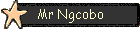 Mr Ngcobo