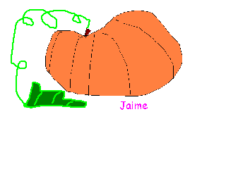 pumpkin picture