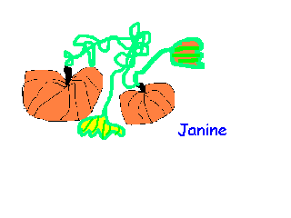 pumpkin picture