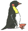 [Penguin]