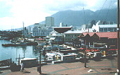 [The Waterfront]