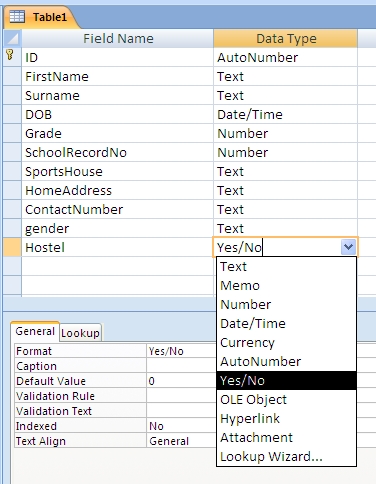 Microsoft Access