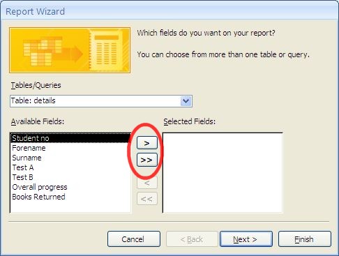 Microsoft Access