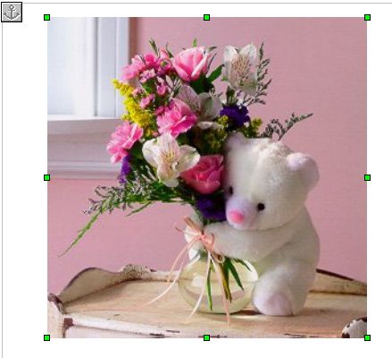 image trim