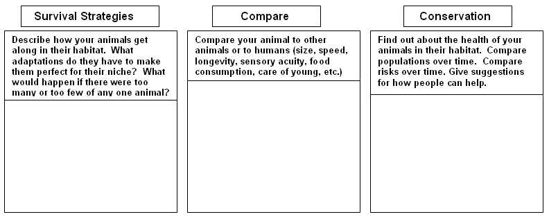 Web Storyboard 2