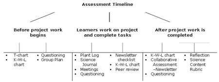Assessment Timeline