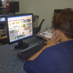 Carnarvon-20130403-00263