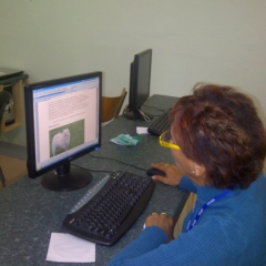 Carnarvon-20130403-00273