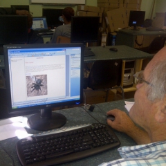 Carnarvon-20130403-00278