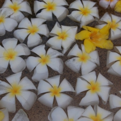 2010.08.24.Mombasa 093