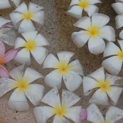 2010.08.24.Mombasa 095