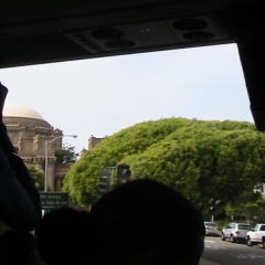 California 228