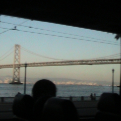 California 229