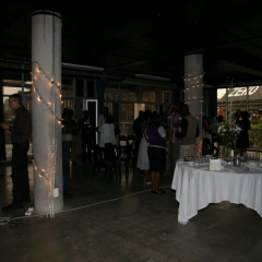 eMentoring_Event_Jan_2010_015