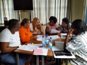 Jan 2015 Learning Gains Project Workshop KZN Day 2