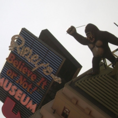 Niagara-RipleysBelieve