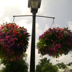 NiagaraOnLakeFlowerPots