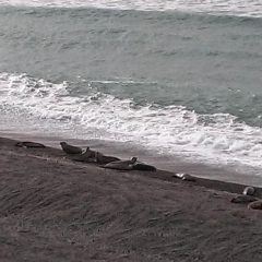 InstagramCapture_44202d26-5664-46cc-9f6e-233ca12e5c6d_jpg