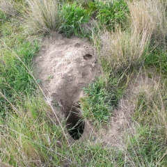 InstagramCapture_95cb65f9-6413-49aa-bf8a-f1f13409a64b_jpg