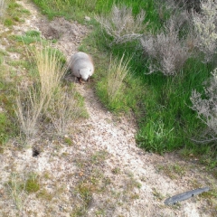 InstagramCapture_da28c2c8-11c5-4fb6-b0ed-3d8a5d430a09_jpg