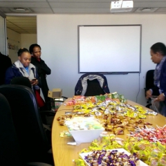 WP_20150717_003 - Copy