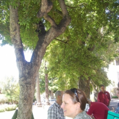 2010.10.Cape Town 015