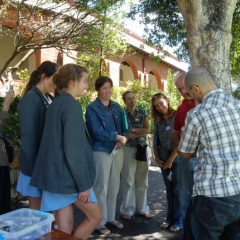 2010.10.Cape Town 019