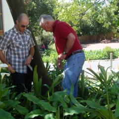 2010.10.Cape Town 028