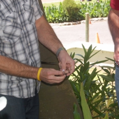 2010.10.Cape Town 036