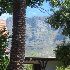 2010.10.Cape Town 042